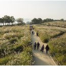 하늘공원 이미지