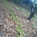 장구농장 이미지