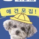 행복애견센타 네이버블로그