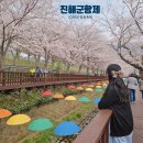 경화벚꽃한의원 | 2026 진해군항제 벚꽃축제 기본정보 평일 주차 먹거리 총정리