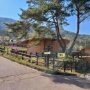 문경새재국민여가캠핑장 이미지