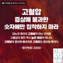 내몸날다
