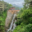 제천 의림지, 치유의 숲길(솔밭길), 비룡담 마법의 성 이미지