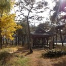 농협 주차장 이미지