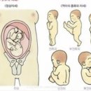 연세하임산부인과의원 이미지