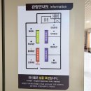 금강3차작은도서관 | 부산 아이랑 실내 가볼 만한 곳｜부산해양자연사박물관, 들락날락 솔직 후기