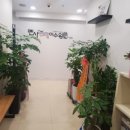 멘사영재이수원학원 네이버블로그