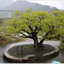 금산마을회관 이미지