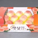 늘햇살농원 이미지