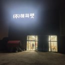 해피펫 | 완주 해피펫 반려동물 장례식장: 길고양이 &#39;치즈&#39;와의 마지막 작별, 따뜻했던 기억