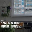 이도남광 | 제주 찻집 제주시 카페 추천 미띠뽀 티하우스
