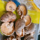 탐라지오 이미지