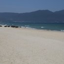 하이베트남(HI VIETNAM) 이미지