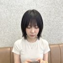 헤어갤러리 - 은평구 신사동 | 헤어갤러리