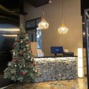 라코지스테이서울 이미지