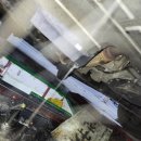 건국카클리닉 이미지