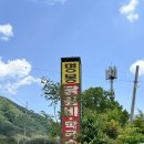 명봉닭갈비막국수 | 춘천 명봉닭갈비막국수 평일 오픈런 후기(내돈내산)