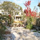 북창선초등학교 이미지