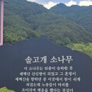 솔고개로 Daum카페