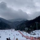 무주마리나 이미지