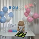 베이직홀릭 | [임신기록 13-17주차] 행복이의 성별은? 성공적인 젠더리빌 후기