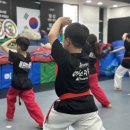 용인대 마스터진 태권도 이미지