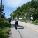 상봉사슴목장 이미지