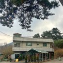 비닐하우스(Binil house) | 하루 6시간만 여는 청주 분위기 끝판왕 카페 'BINIL HOUSE)