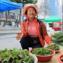 봄날처럼 민박 이미지