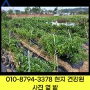 사천건강원, 붕어즙, 장어즙, 잉어즙, 가물치즙, 중탕, 항아리 건강원 사천시 문의 고객 민불장어