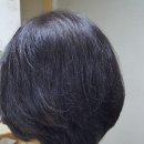 영모가발