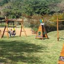 유아동네숲터 이미지