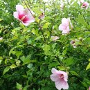 광교호수로-1 이미지