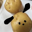 🐶🤍408🥔 이미지