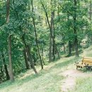 봉림중학교 이미지