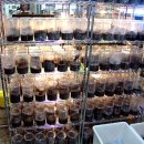 지호농장 이미지