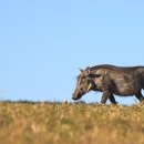 중수농장 이미지