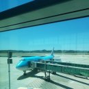 이이엠 | 서스페리아 후기: 지금까지 이런 루카 구아다니노는 없었다:쿠키영상있음 feat 밀라노 중앙역