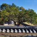 사철한약방