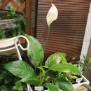 해피트리치과의원 이미지