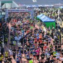 소백산 한돈 이미지