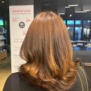배정아 헤어이벤트 팰릭스