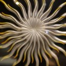 준갤러리 이미지