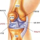 이즈메디의원 이미지