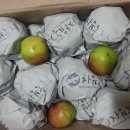 자유농장 이미지