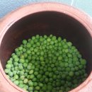 성실농원 이미지