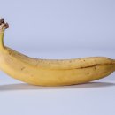 바나나 이미지