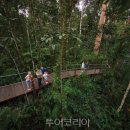 우림카서비스 이미지