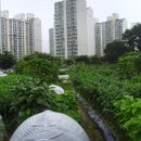 산밑집 농장 이미지