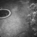 용산-239 이미지